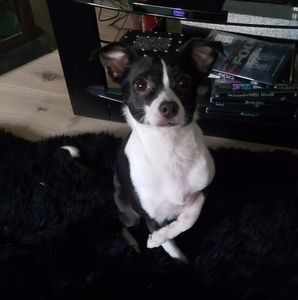 Meet your Posher, Scott